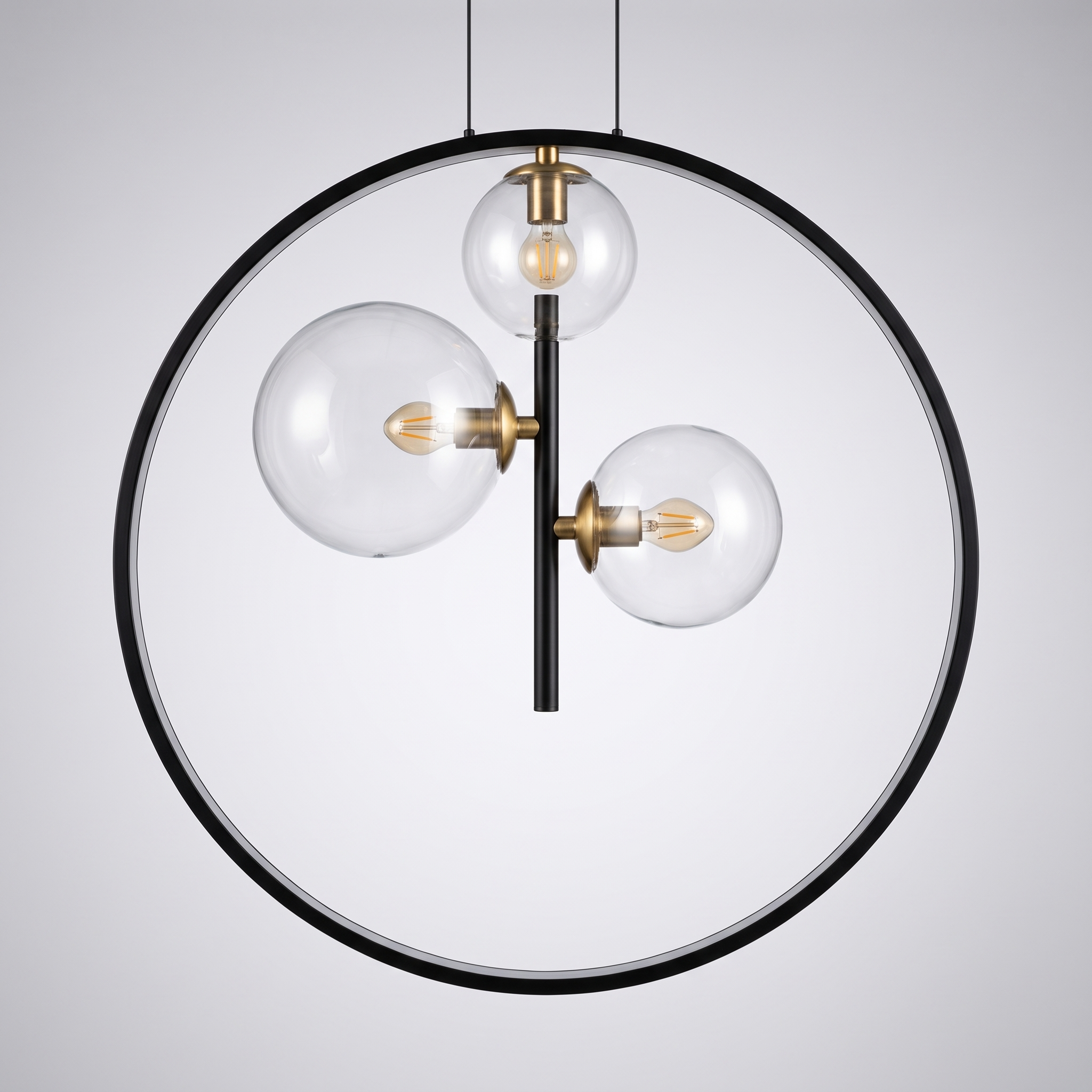 Close-up of the Anelara ring and bulb structure